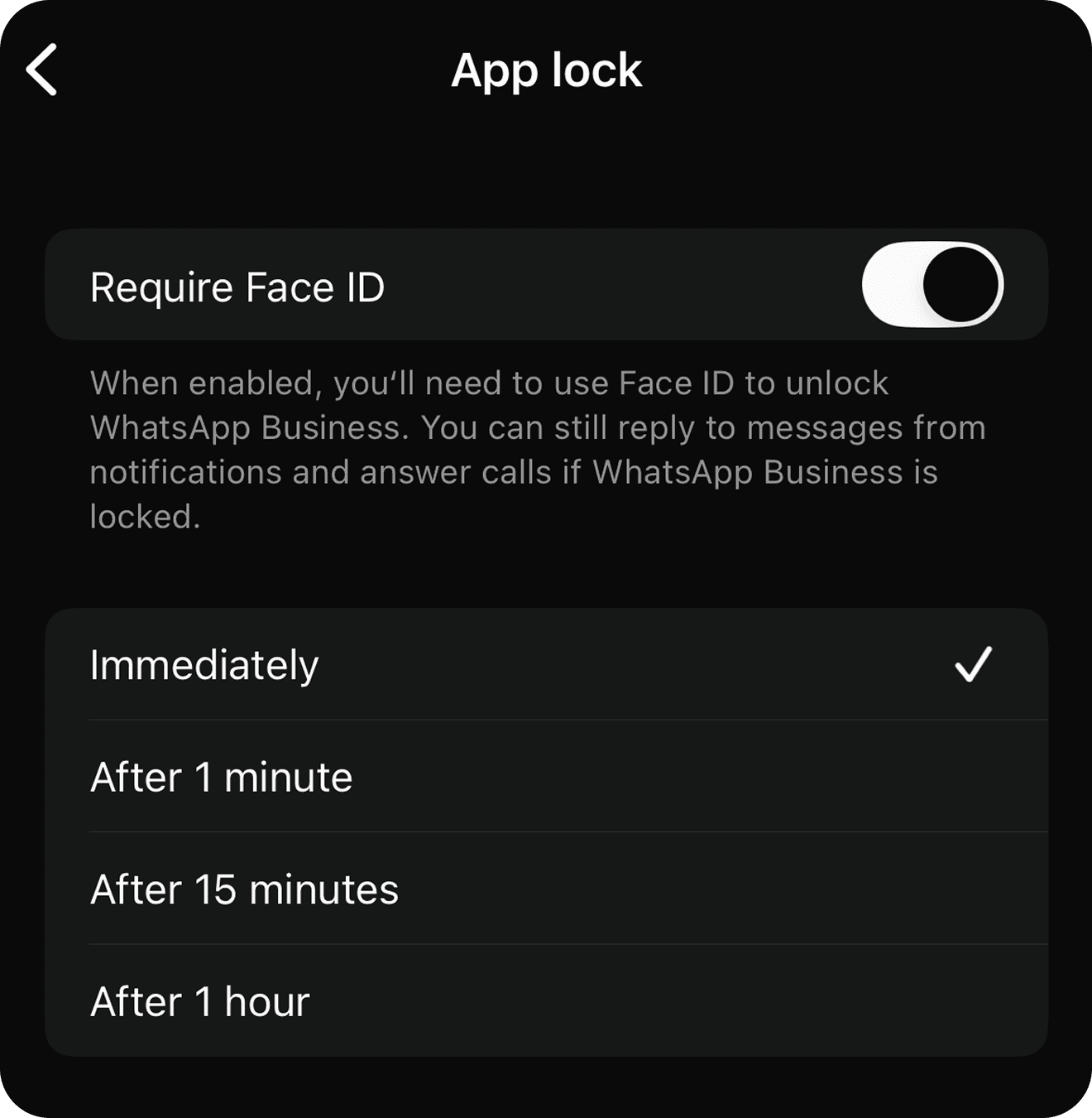App Lock
